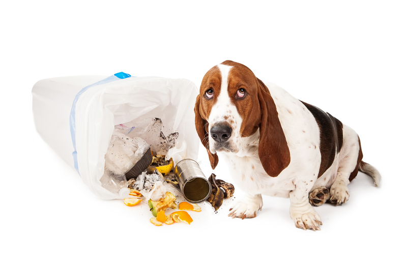 waste collection garage