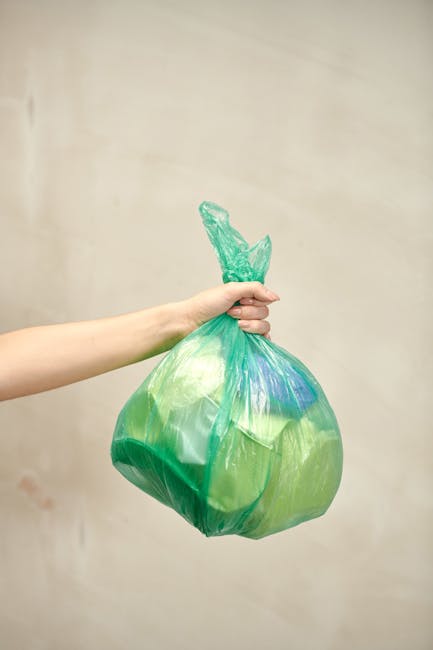 Same day rubbish collection in Hammersmith what to know