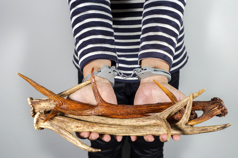 rubbish removal rubbish clearance