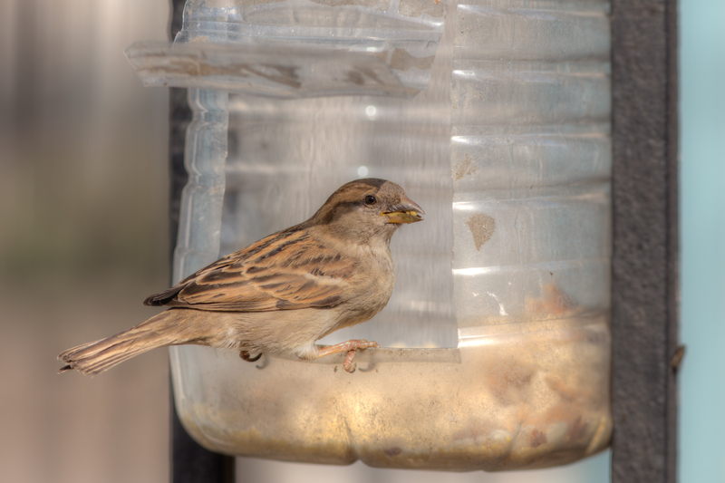 Discover the Benefits of Glass Recycling